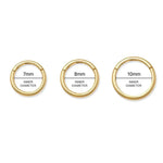 14K Solid Gold Plain Seamless Clicker Hoop Ring - 16G, 18G – Anygolds
