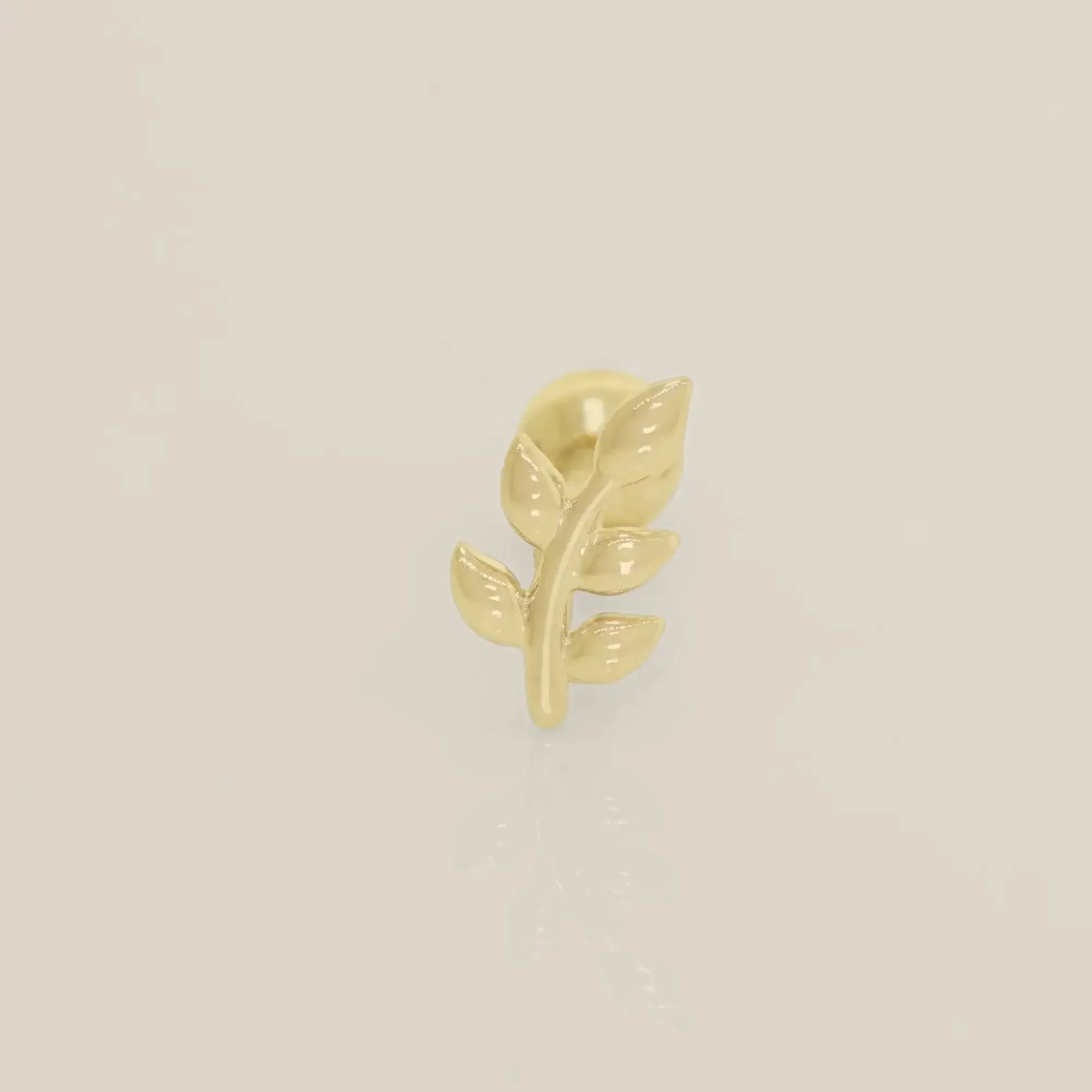 14K Solid Gold Mini Olive Leaf Stud – Anygolds