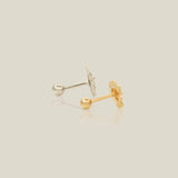 14K Solid Gold Lion Stud – Anygolds