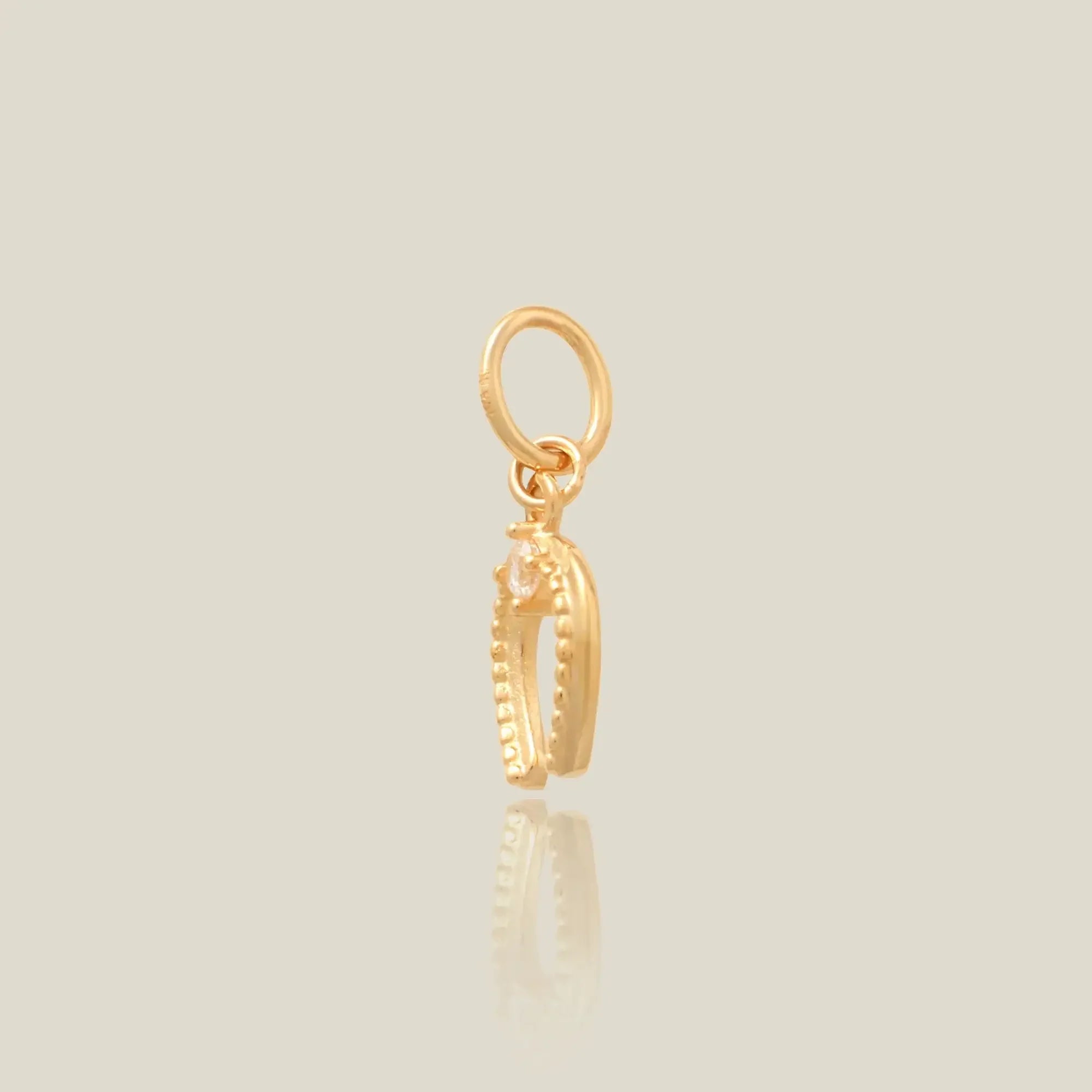 14K Solid Gold Stone & Horseshoe Charm – Anygolds