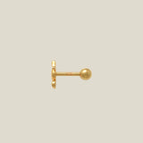 14K Solid Gold Seahorse Stud – Anygolds