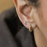 14K Solid Gold Seahorse Stud – Anygolds