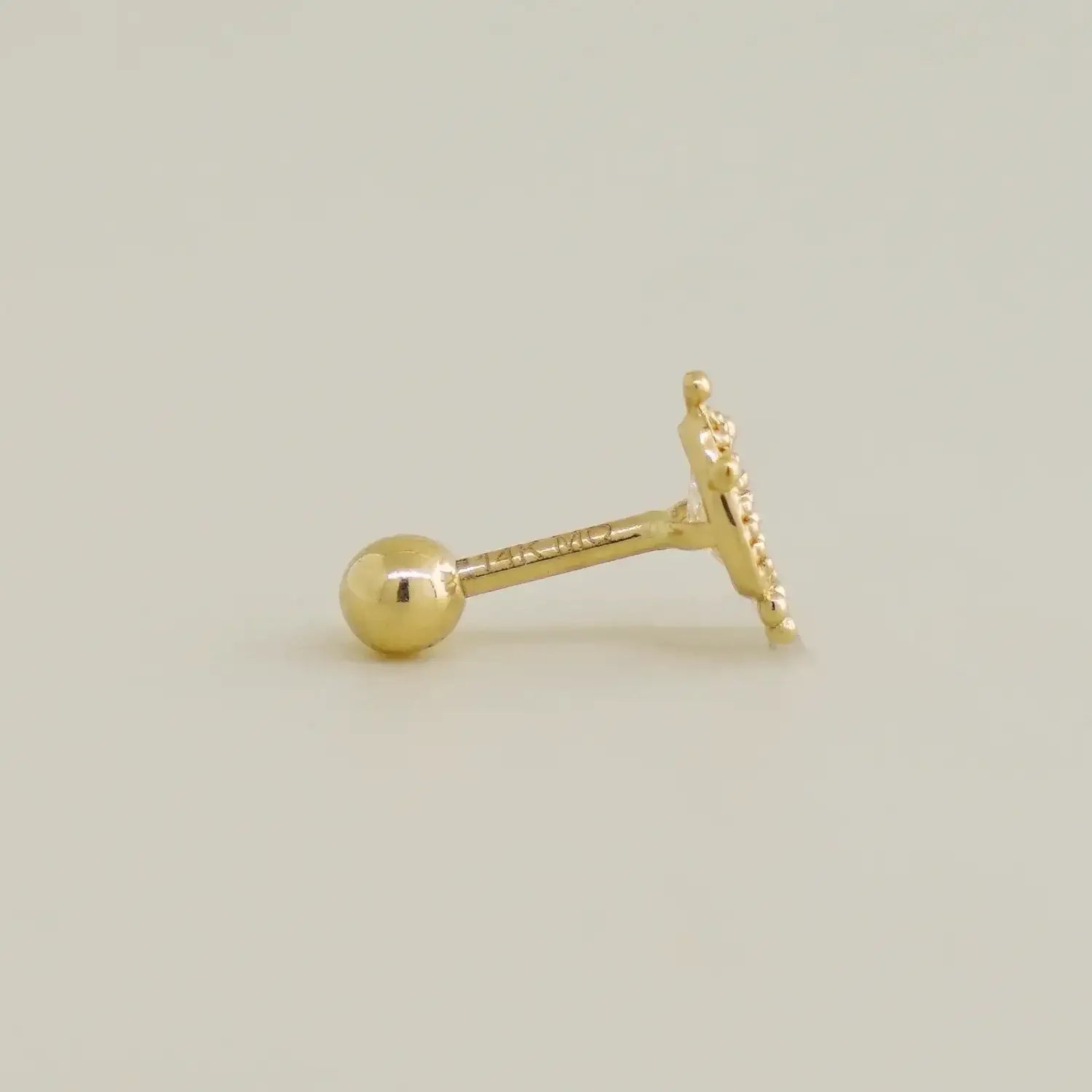 14K Solid Gold Lion Stud – Anygolds