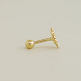 14K Solid Gold Lion Stud – Anygolds