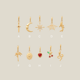 14K Solid Gold Charms – The Icon Edit (10 Styles)