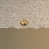 Honeybee Stud