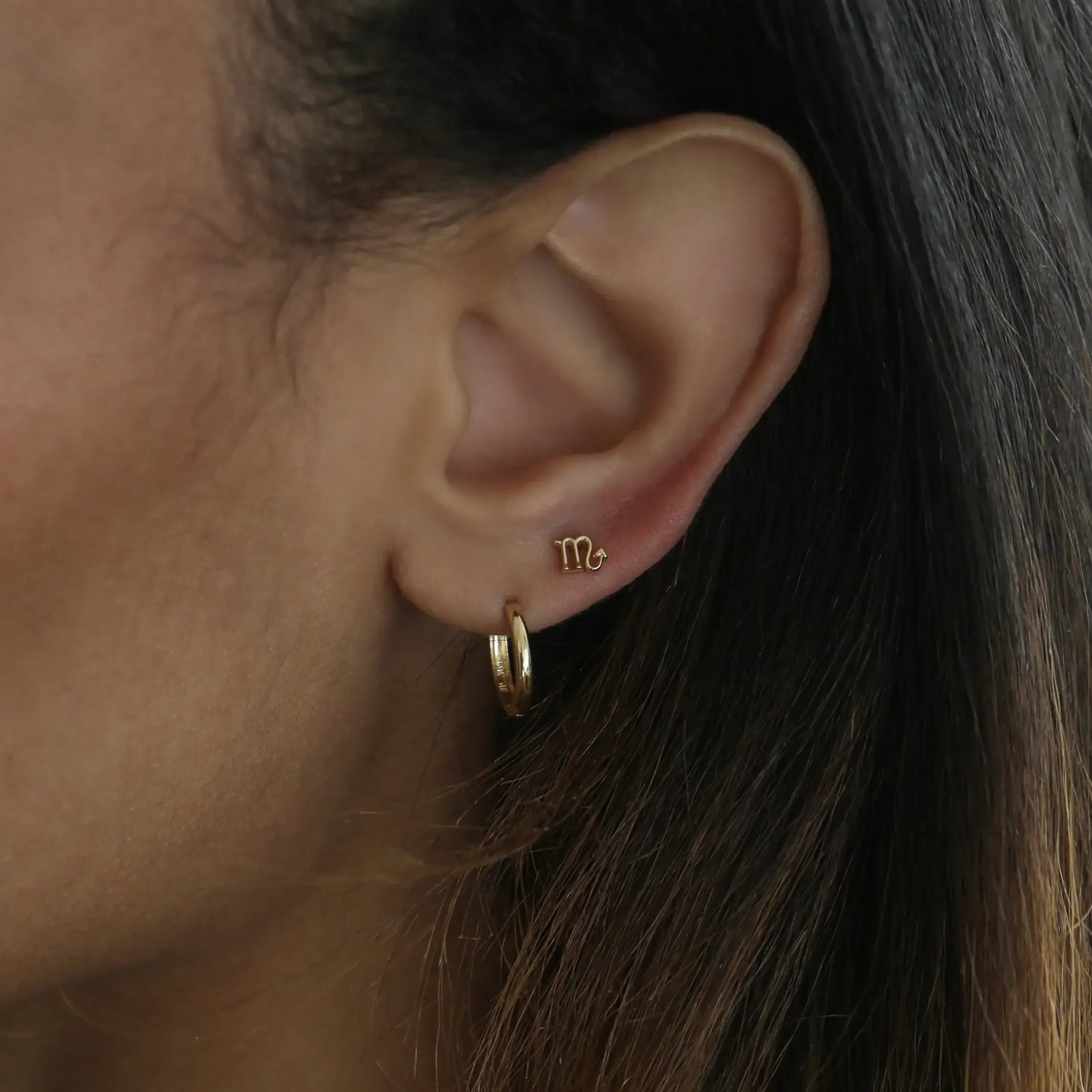 14K Solid Gold Zodiac Sign Stud – Anygolds