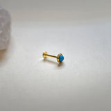 Turquoise Round Stud (Internal | External)