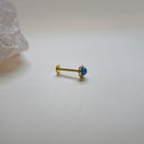 Turquoise Round Stud (Internal | External)