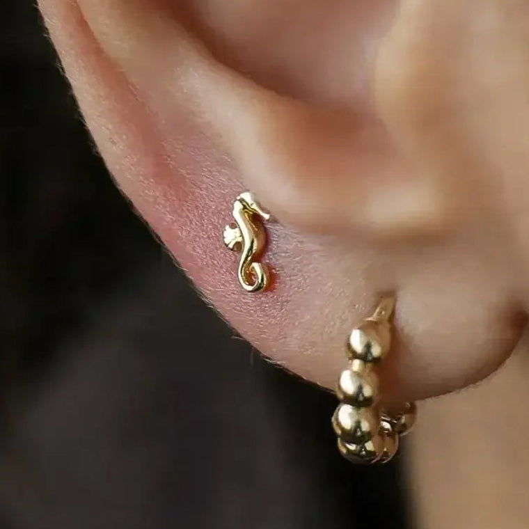 14K Solid Gold Seahorse Stud – Anygolds