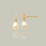 Lustre Pearl Drop Stud Earrings
