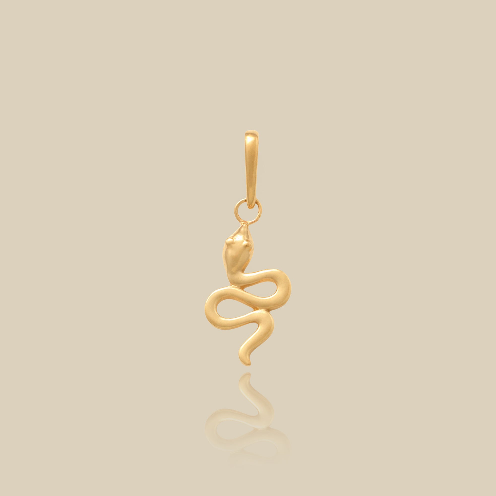14K Solid Gold Charms – The Icon Edit (10 Styles)