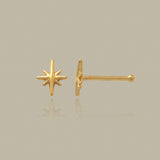 Radiant Star Nose Stud