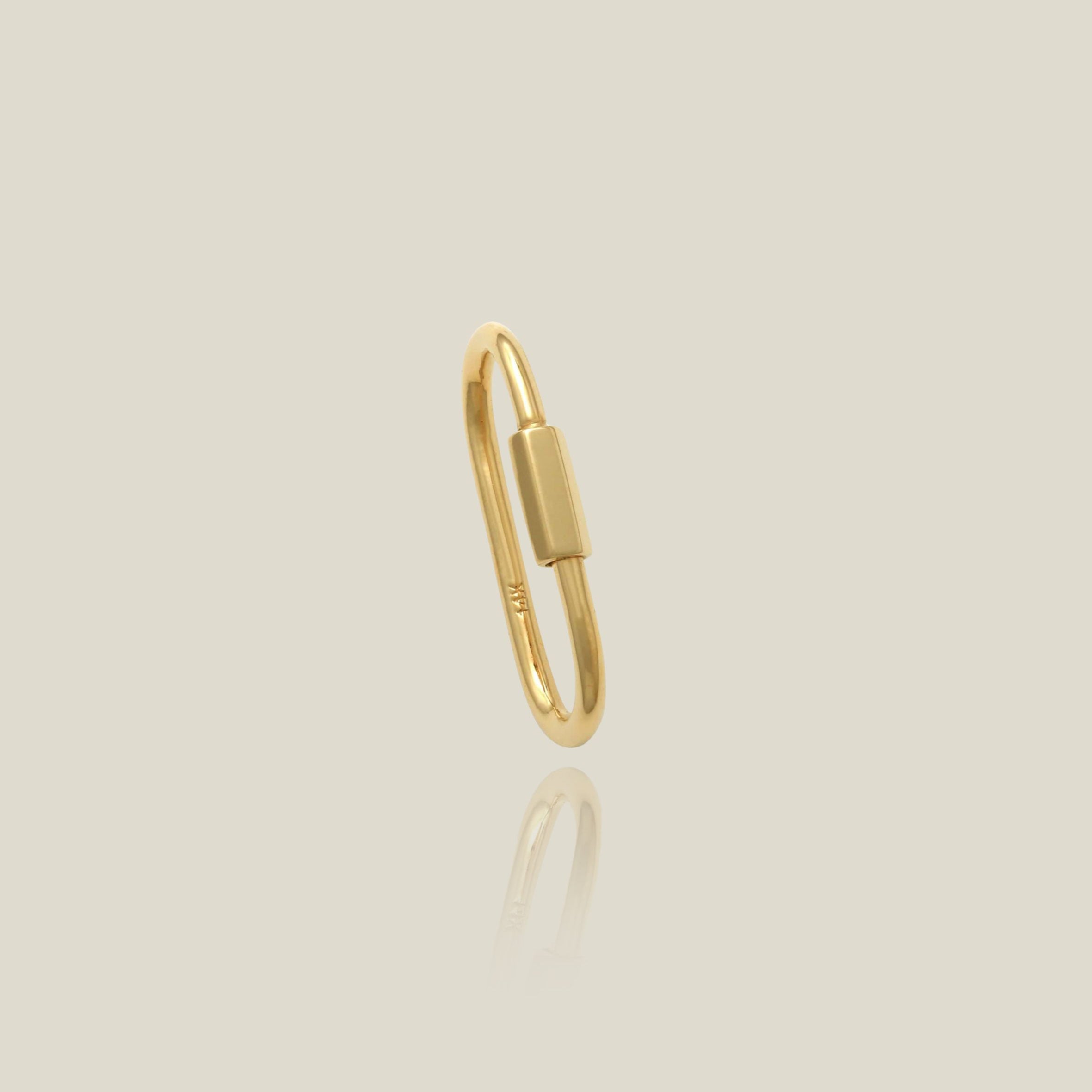 Oval Carabiner Screw Connector - Anygolds