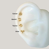 14K Solid Gold Zodiac Sign Stud Piercing Earring- Anygolds