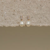 Lustre Pearl Drop Stud Earrings